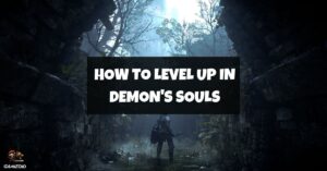 How to level up in Demon's souls