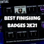 Best Finishing Badges 2k21