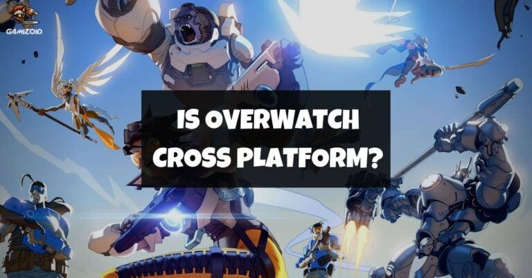 Is Overwatch Cross Platform