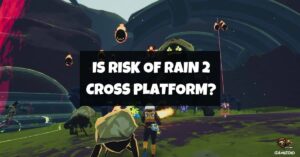 Is Risk of Rain 2 Cross Platform