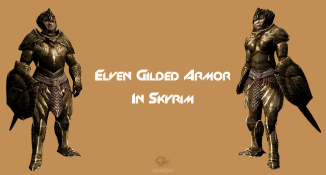 The Elven Gilded Armor