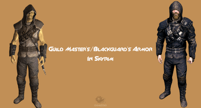 The Guild Master's Blackguard's Armor