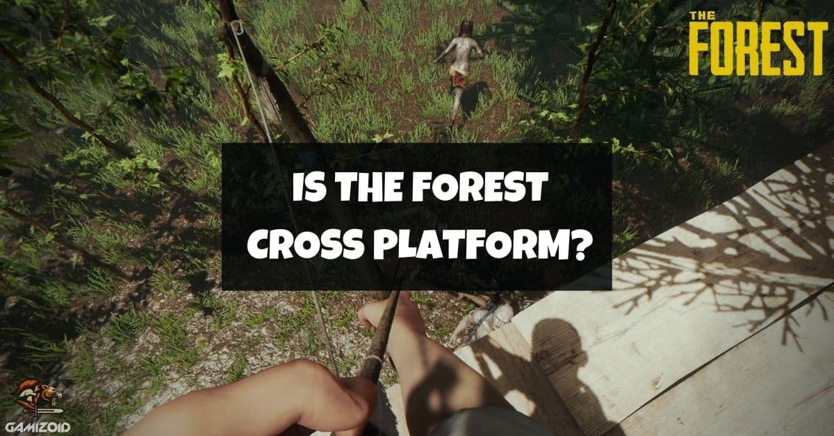 Is the Forest Crossplay with console?