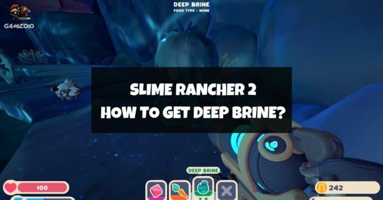 How To Get Deep Brine In Slime Rancher 2
