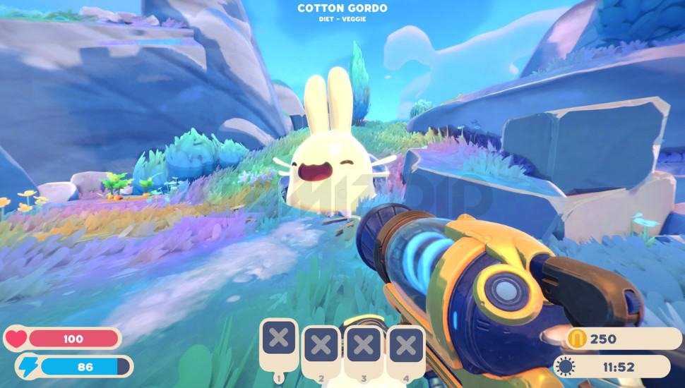 the cotton gordo in slime rancher 2