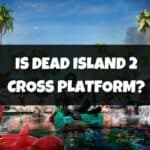 Is Dead Island 2 Cross Platform
