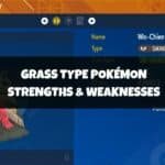 Grass Type Weakness