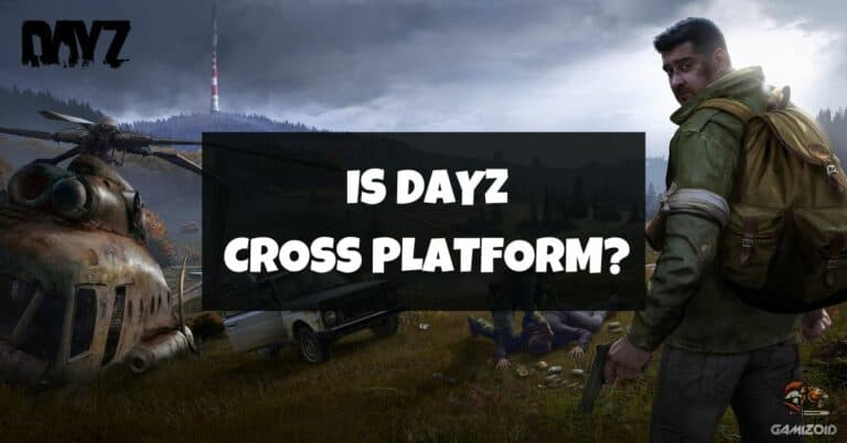 Is DayZ Cross Platform