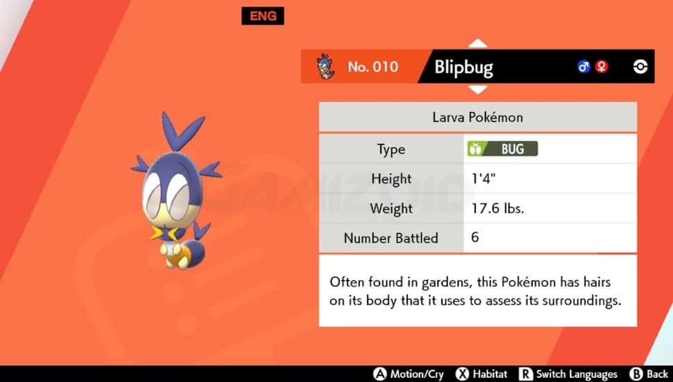 image of blipbug from pokemon sword