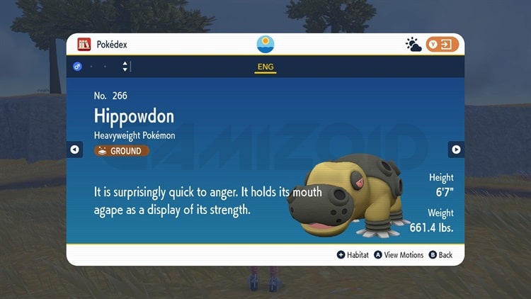 8 Hippowdon